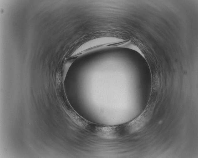 X0000087640184200705181534