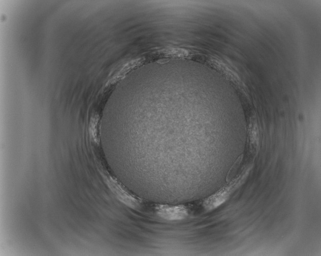 X0000087640185200705181534