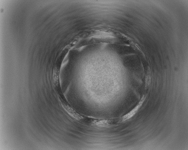 X0000087640186200705181535