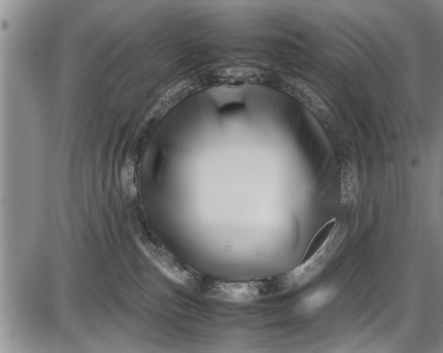 X0000087640187200705181535