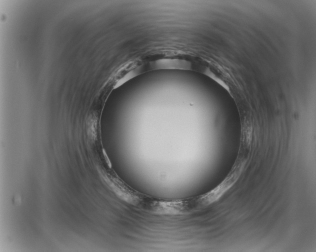 X0000087640188200705181535