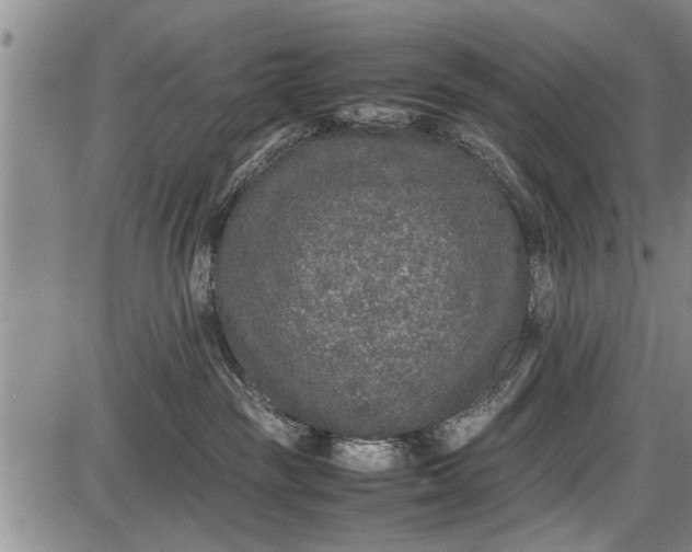 X0000087640189200705181535