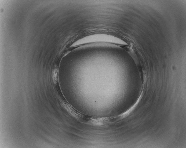 X0000087640190200705181535