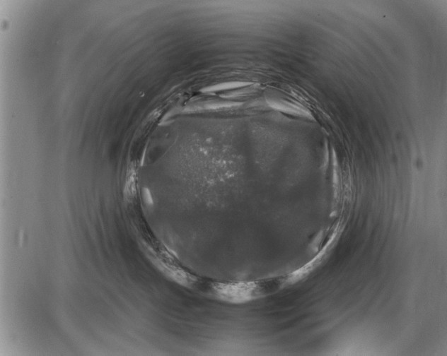 X0000087640191200705181535