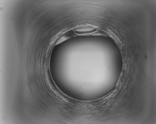 X0000087640193200705181534