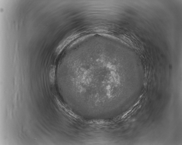 X0000087640194200705181534