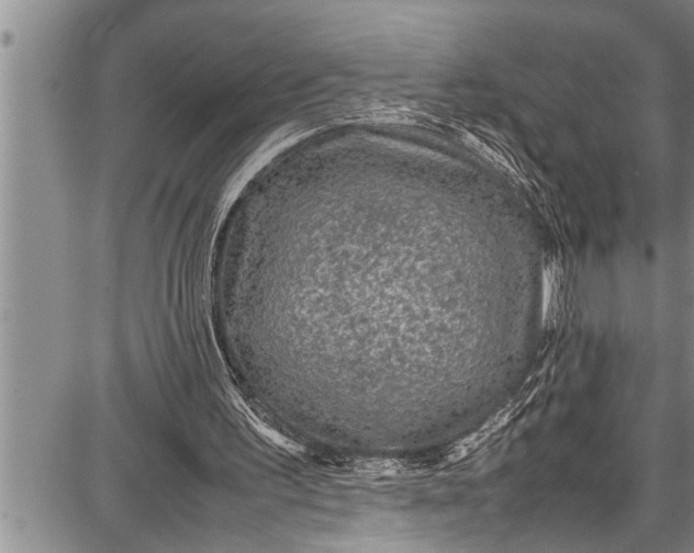 X0000087640195200705181534