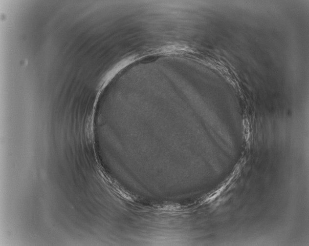 X0000087640196200705181534