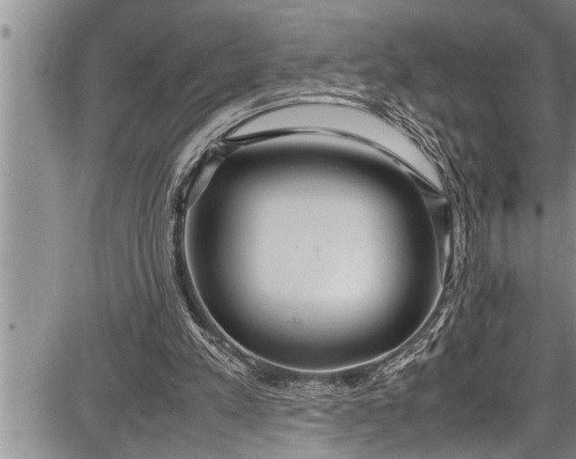 X0000087640197200705181534