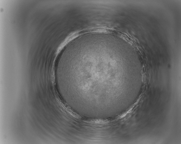 X0000087640198200705181534