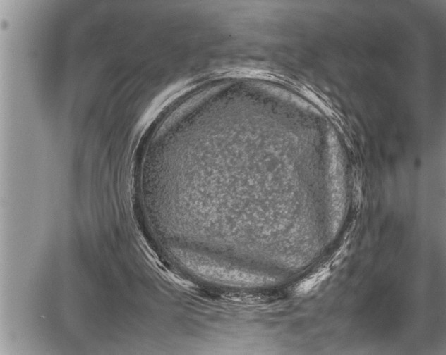 X0000087640199200705181534