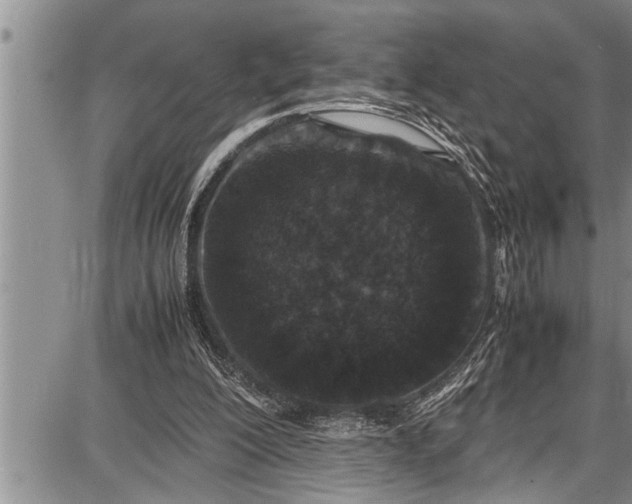 X0000087640200200705181534