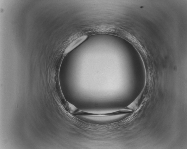 X0000087640201200705181534