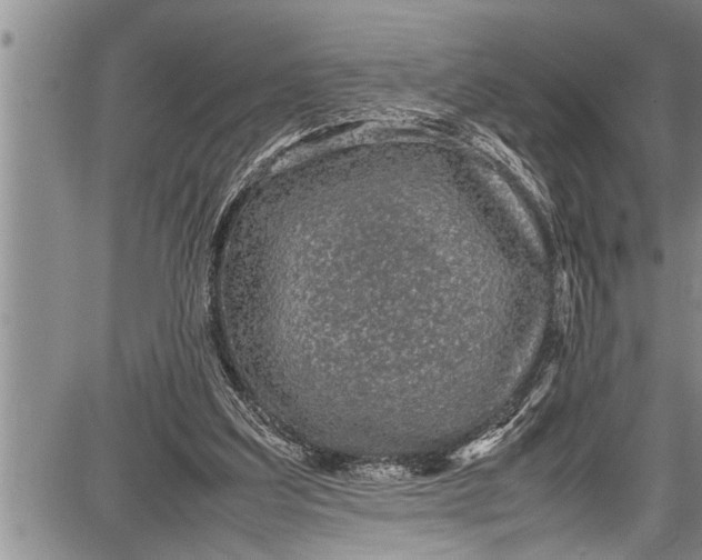 X0000087640203200705181534