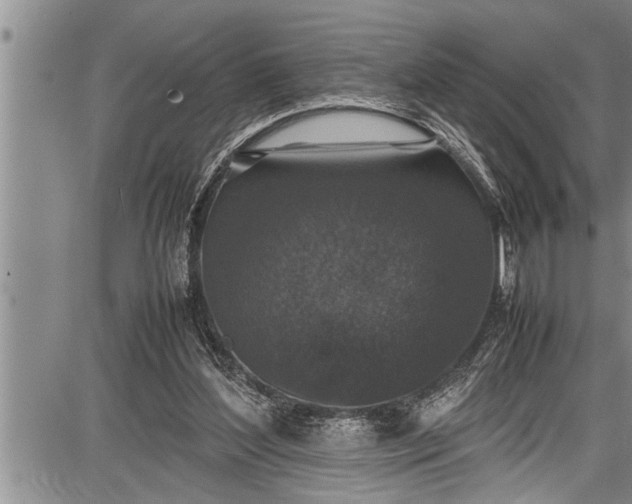 X0000087640204200705181534