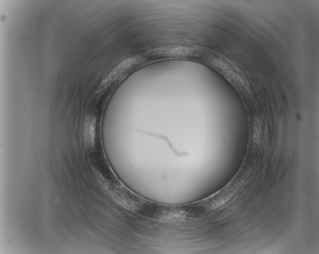 X0000087640206200705181534