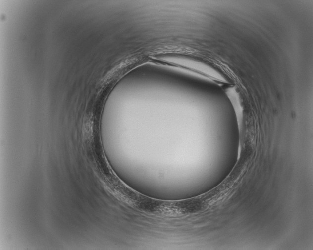 X0000087640207200705181534