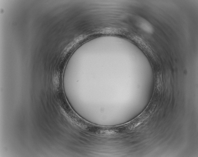 X0000087640208200705181534