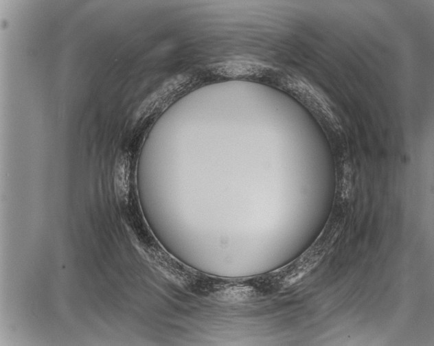 X0000087640210200705181534