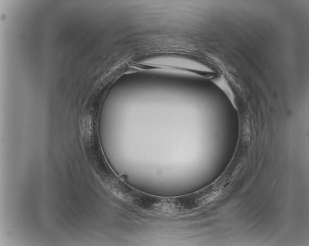 X0000087640211200705181534