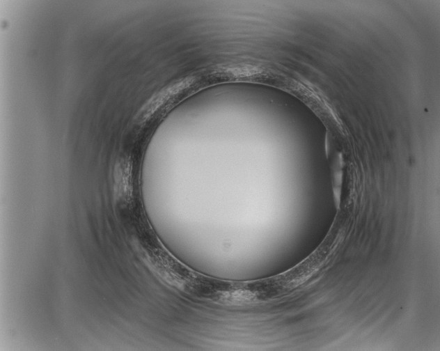 X0000087640212200705181534