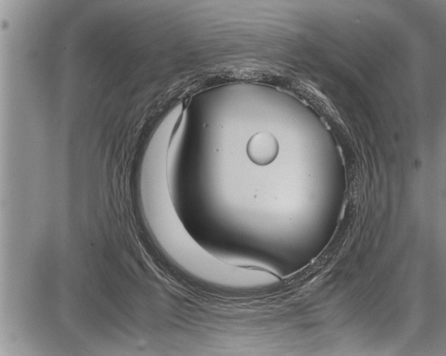 X0000087640213200705181533