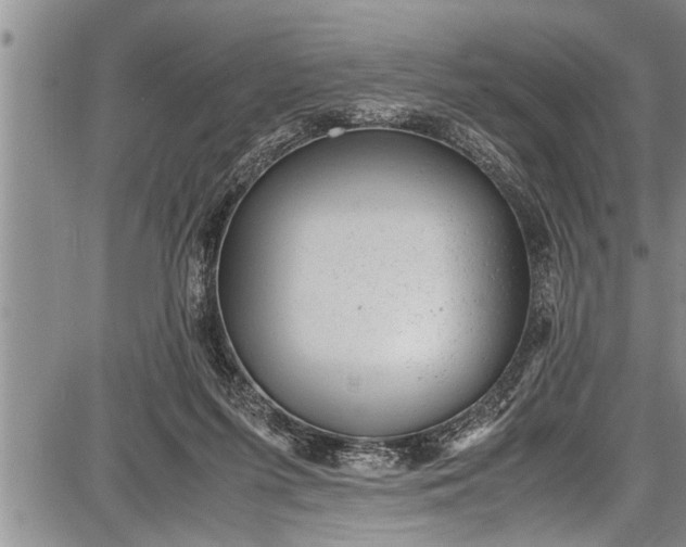 X0000087640215200705181533