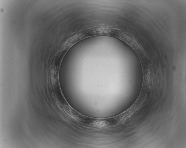 X0000087640218200705181533