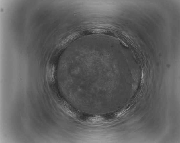 X0000087640219200705181533