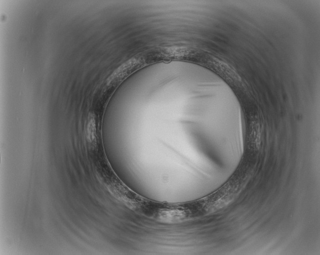 X0000087640220200705181533