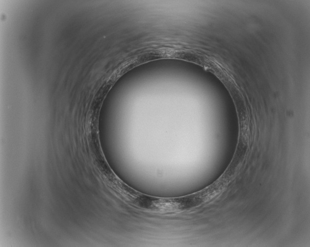 X0000087640221200705181533