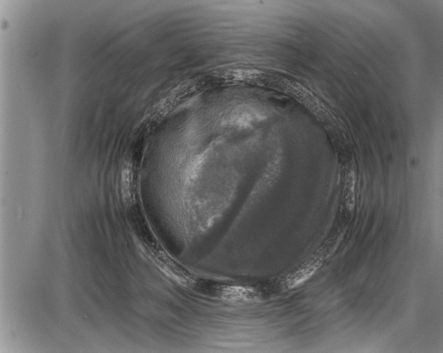 X0000087640222200705181533