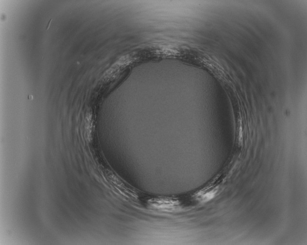 X0000087640223200705181533