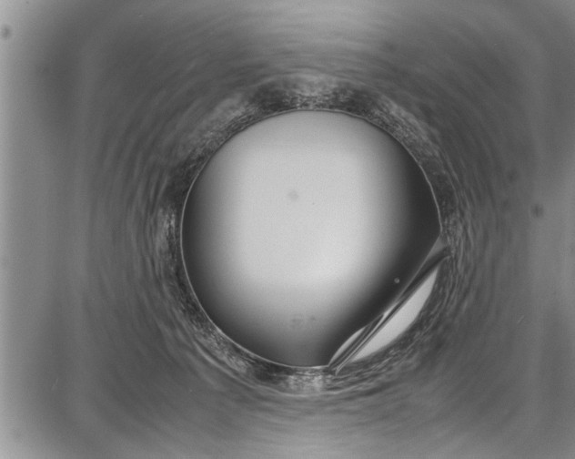 X0000087640225200705181533