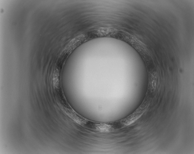 X0000087640226200705181533