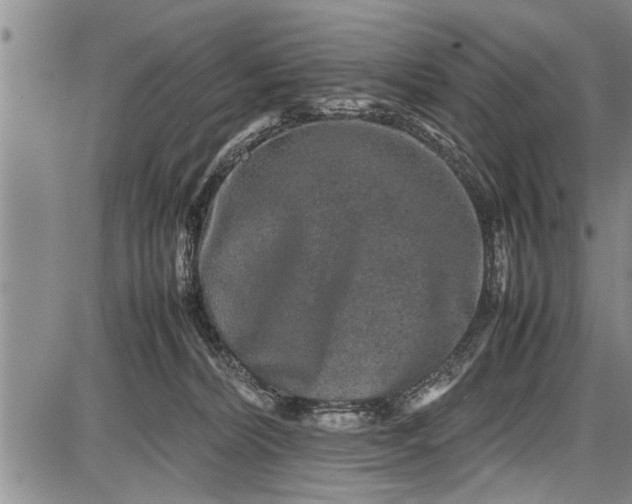 X0000087640228200705181533