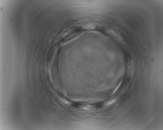 X0000087640229200705181533