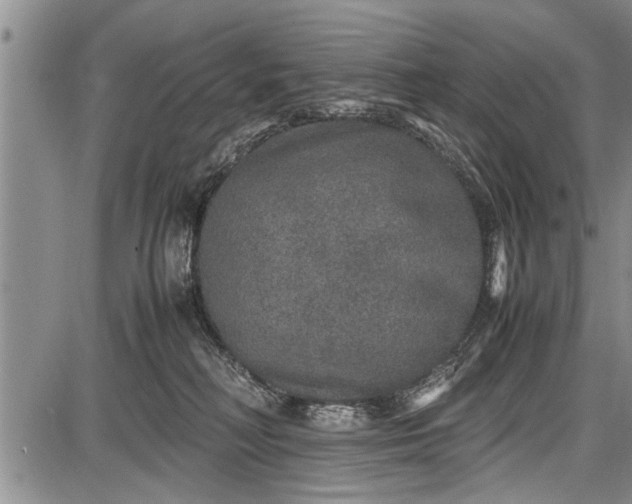 X0000087640230200705181533