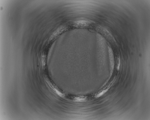 X0000087640232200705181533