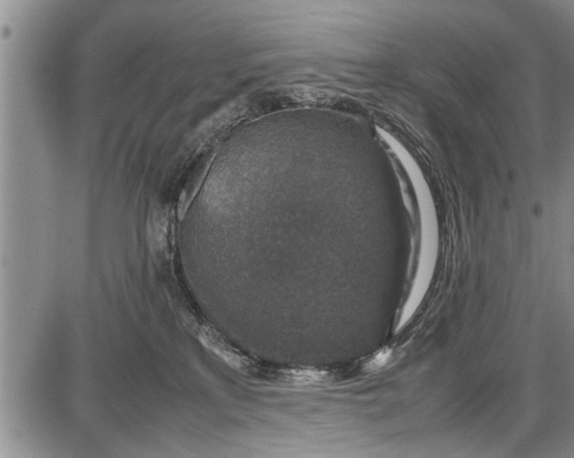 X0000087640233200705181533