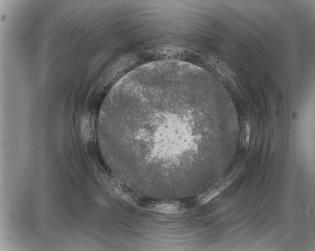 X0000087640236200705181533