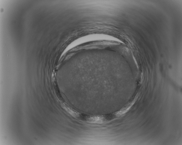 X0000087640237200705181533