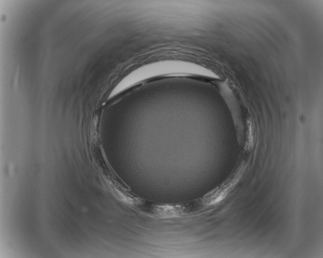 X0000087640239200705181533