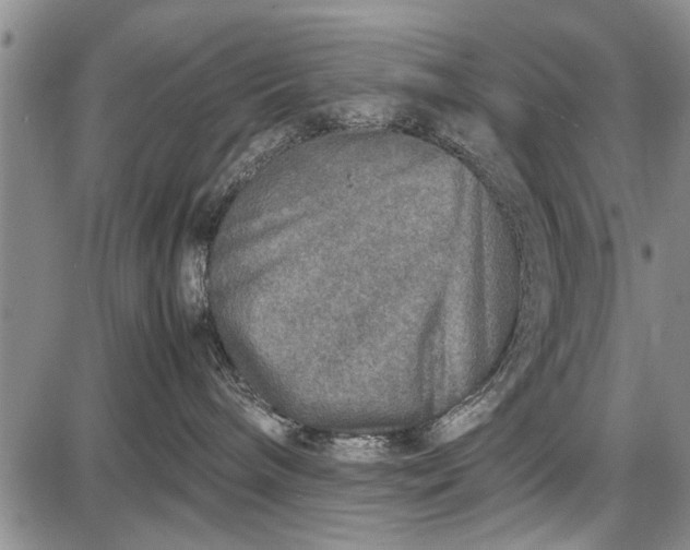 X0000087640240200705181533