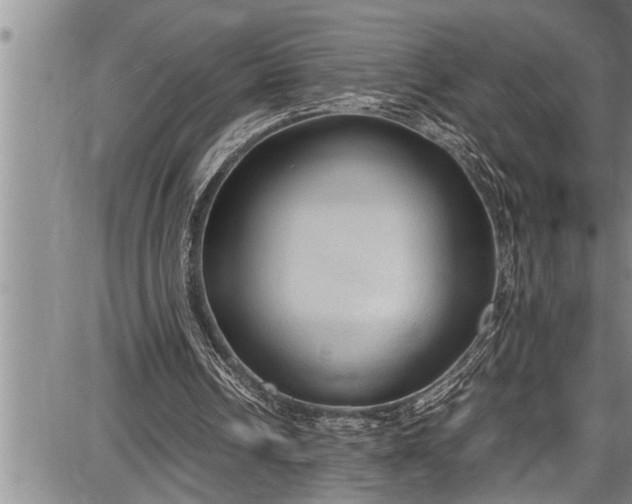 X0000087640242200705181532