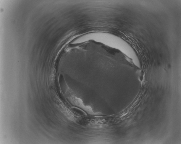 X0000087640243200705181532