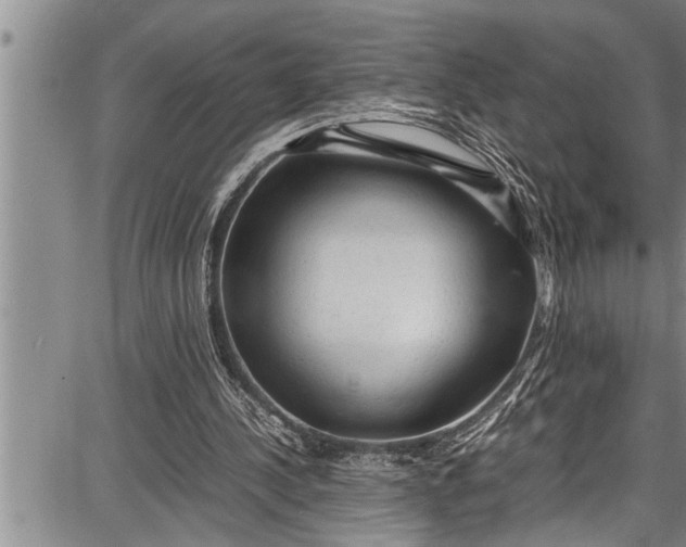 X0000087640244200705181532