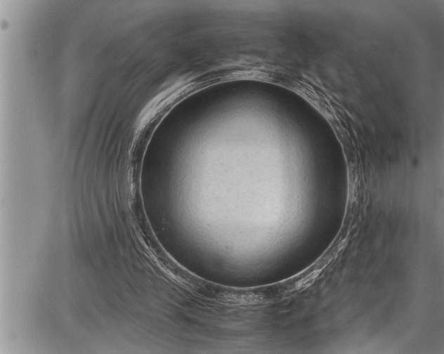 X0000087640245200705181532