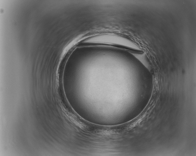 X0000087640246200705181532