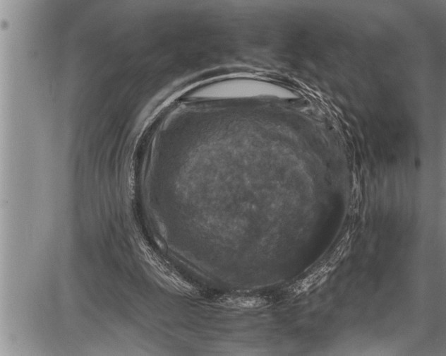 X0000087640247200705181532